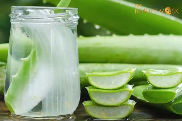 Mặt nạ chống lão hóa từ nha đam